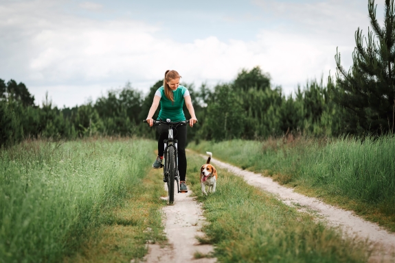 Cykeludlejning klassisk cykel